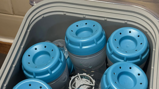Six MAM bottles loaded in the Bebello bottle washer